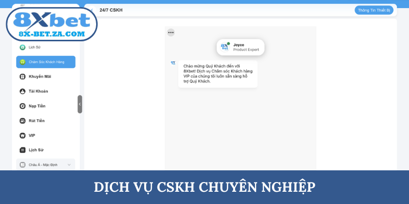Dịch vụ CSKH chuyên nghiệp