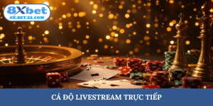 cá độ livestream trực tiếp