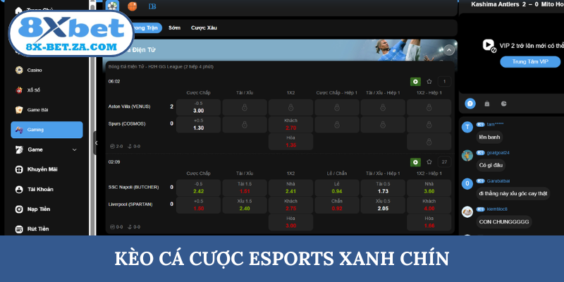 Kèo cá cược esports xanh chín