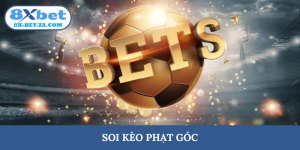 soi kèo phạt góc