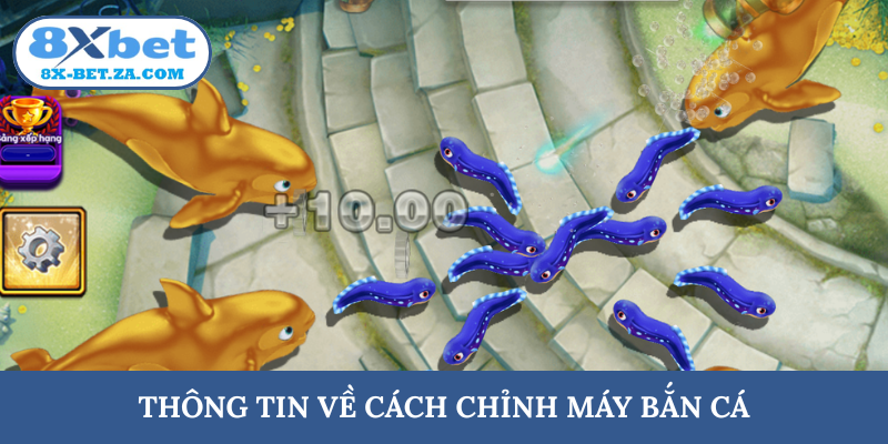Thông tin về cách chỉnh máy bắn cá
