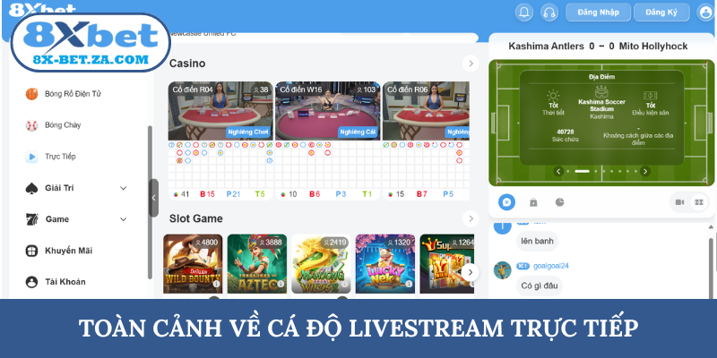 Toàn cảnh về cá độ livestream trực tiếp