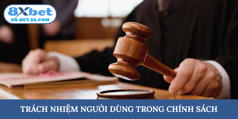 Trách nhiệm người dùng trong chính sách